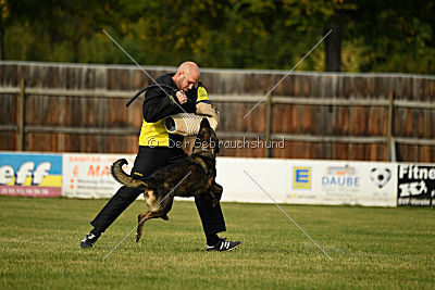 Naida vom Waisagrund