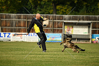 Naida vom Waisagrund