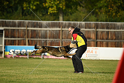 Naida vom Waisagrund