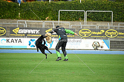 Nakoa vom Mochauer Land