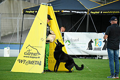 Nakoa vom Mochauer Land