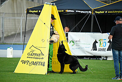 Nakoa vom Mochauer Land