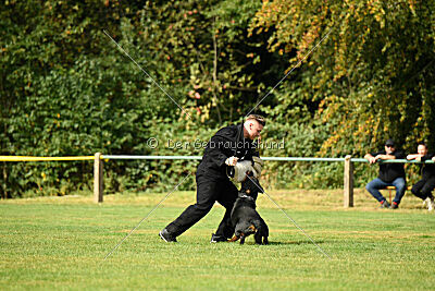 Nando von der Barenau