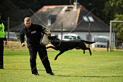 Nando von der Barenau