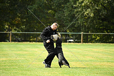 Nando von der Barenau