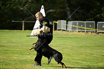 Nando von der Barenau
