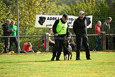 Nando von der Barenau