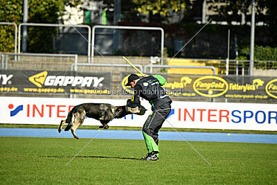 Nanuk vom Wolfsweiher