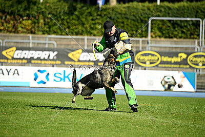 Nanuk vom Wolfsweiher