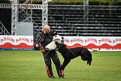 Napoleon ze Zelene uzlabiny