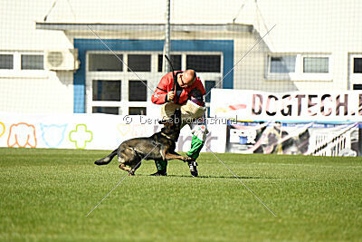 Narcos z Lomeckého polesí