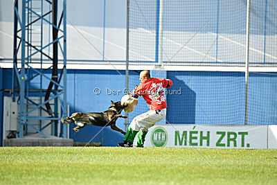 Narcos z Lomeckého polesí