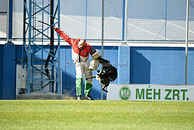 Narcos z Lomeckého polesí