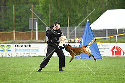 Nash vom schnellen Fahnder