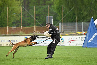 Nash vom schnellen Fahnder