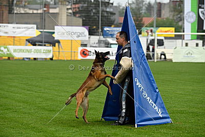 Nash vom schnellen Fahnder
