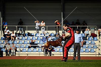 Nash von der Isenburg