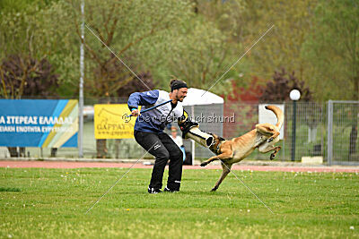 Nasty Rick Rude du Poilu