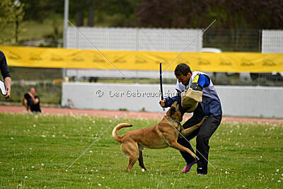 Nasty Rick Rude du Poilu