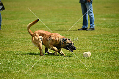 Nasty Rick Rude du Poilu