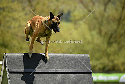 Nasty Rick Rude du Poilu