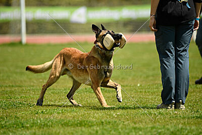 Nasty Rick Rude du Poilu