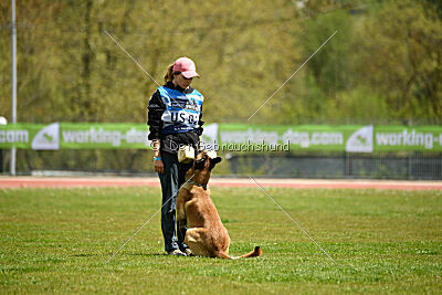 Nasty Rick Rude du Poilu