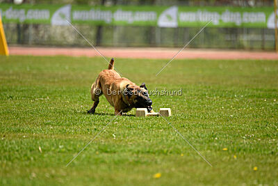 Nasty Rick Rude du Poilu