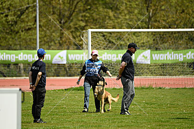 Nasty Rick Rude du Poilu