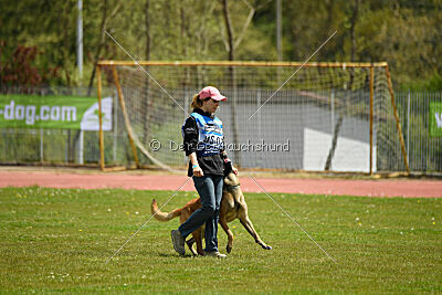 Nasty Rick Rude du Poilu