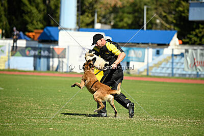 Nasty Rick rude du poilu