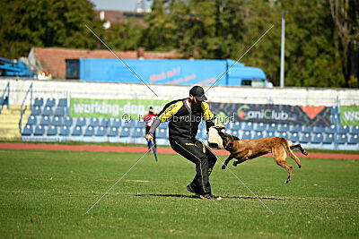 Nasty Rick rude du poilu