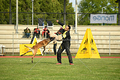 Nati's Empower Nyles