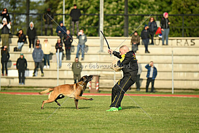 Nati's Empower Nyles