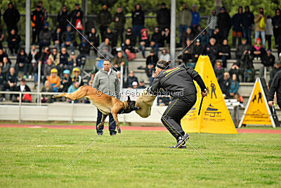 Nati's Empower Nyles