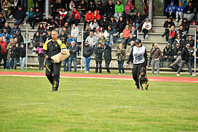 Nati's Empower Nyles