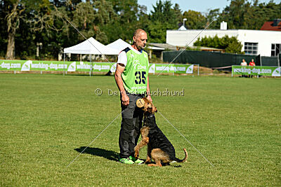 Nato von der Heinrichsburg