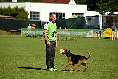 Nato von der Heinrichsburg