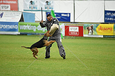 Nato von der Heinrichsburg