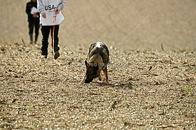 Naughty von Wolstraum