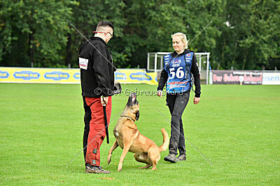 Ne pas toucher D'Toxx