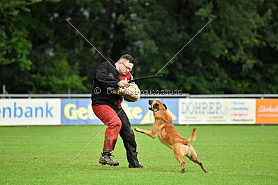 Ne pas toucher D'Toxx