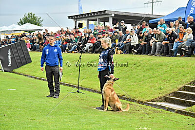 Ne pas toucher D'Toxx