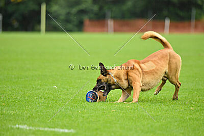 Ne pas toucher D'Toxx