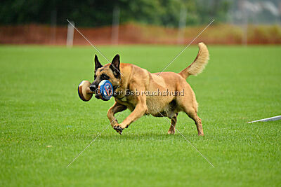 Ne pas toucher D'Toxx