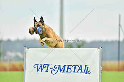 Ne pas toucher D'Toxx