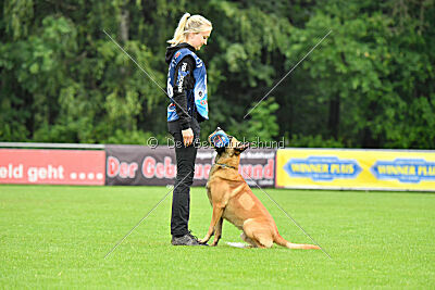 Ne pas toucher D'Toxx