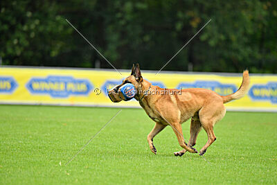 Ne pas toucher D'Toxx