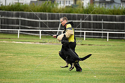 Nele vom Kretzschauer Land	