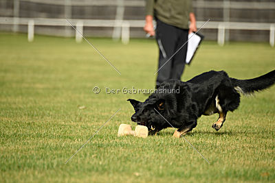 Nele vom Kretzschauer Land	